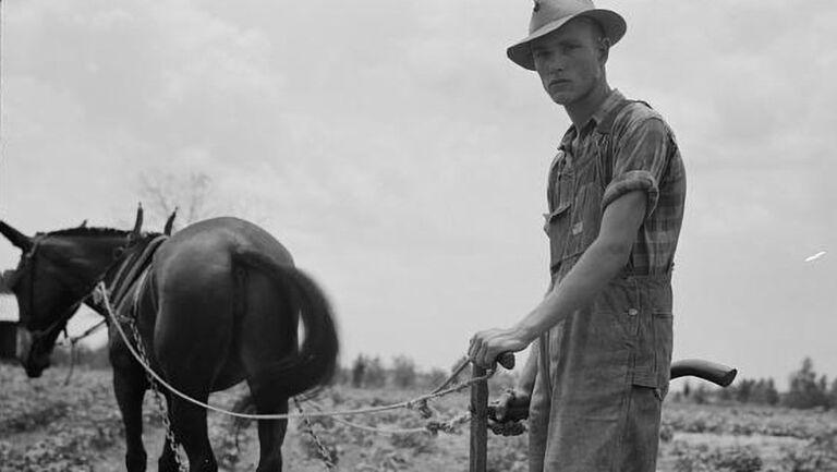 At the plow