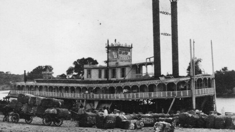 Cotton steamer