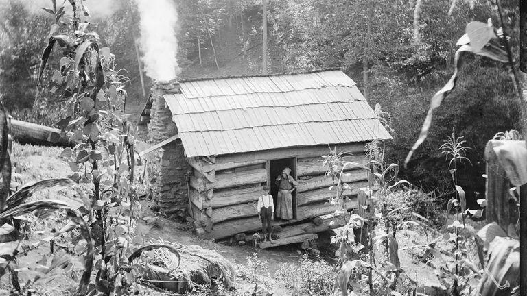 Cabin in the woods