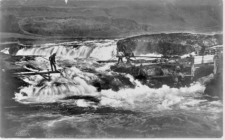 Salmon Fishers