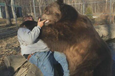 2022/01/bear-hug-768w.jpg