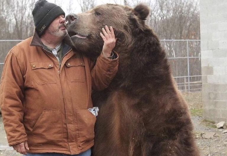 Bear BFFs
