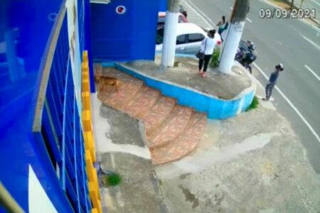 2022/01/34dogcapturedinsecuritycamera-768w.jpg