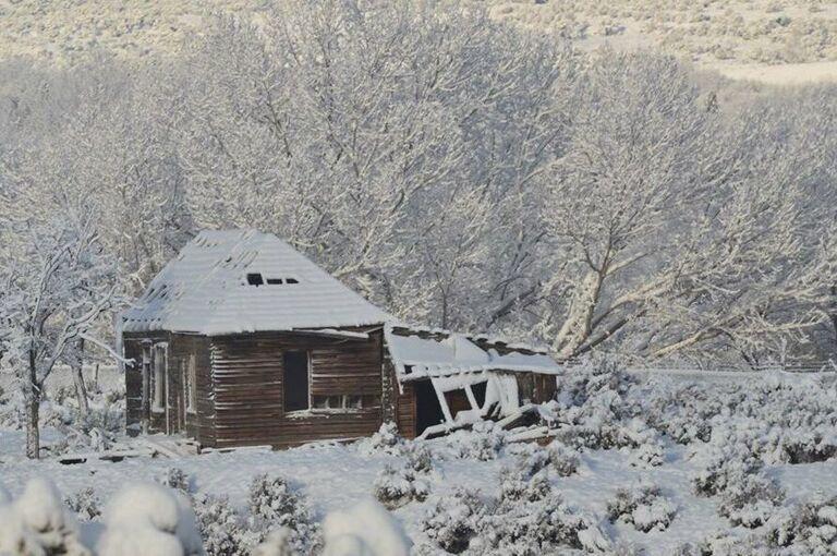 Steele Wilderness Cabin