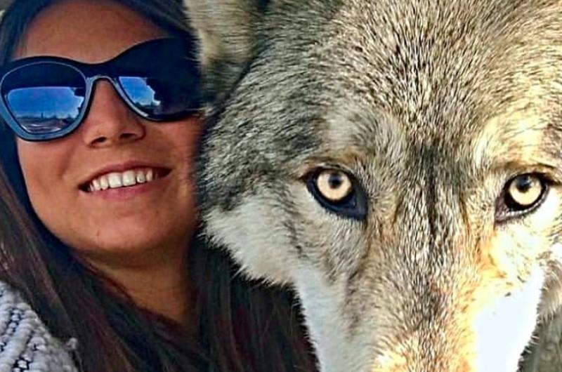 Fascination With Wolves