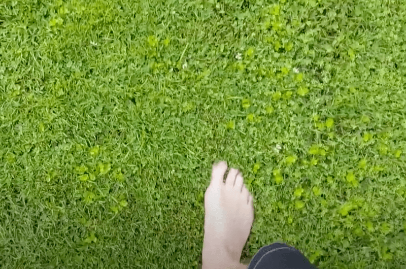 It Moves