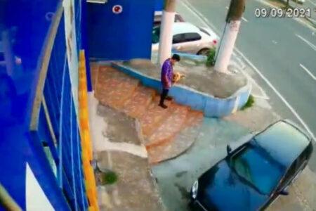2022/01/06dogcapturedinsecuritycamera-768w.jpg