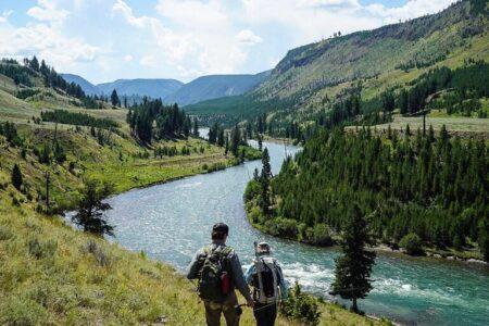 2022/01/yellowstone-ri-vers-768w.jpg