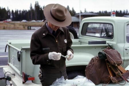 2022/01/park-ranger-768w.jpg