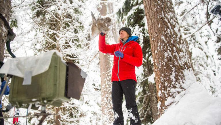 Reasons Behind Rainier's Risky Decision