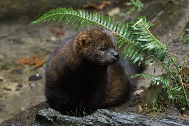 Fishers And More