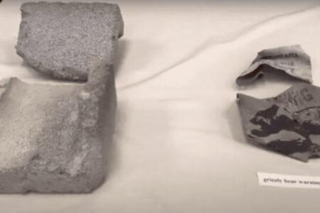2022/01/cinderblock-and-bear-warning-sign-768w.jpg
