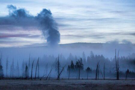 2022/01/distant-view-of-eruption-768w.jpg