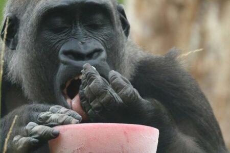 2022/01/eating_06242020_8590-768w.jpg