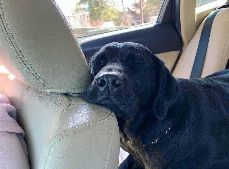 The last ride