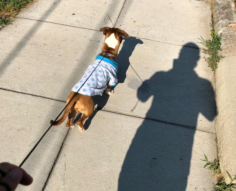 Walking And Walking