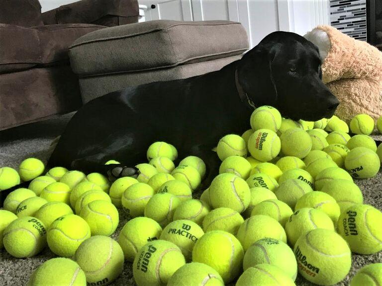 Tennis fan