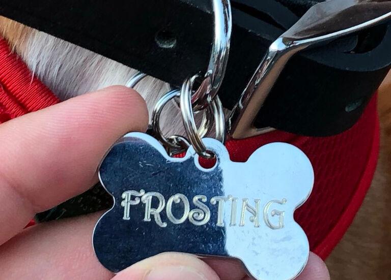 New Tags