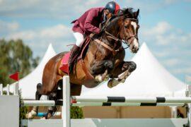 Smart saddle could improve equestrian safety