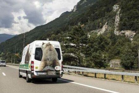 2022/02/ambulance-napa-bear-e1535128625998.jpg