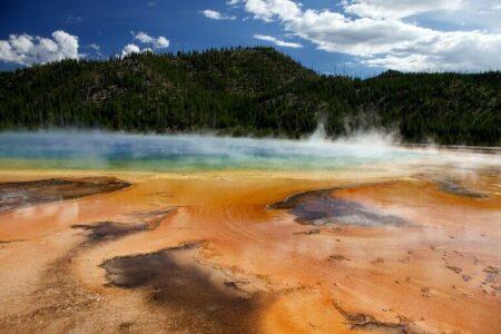 2022/02/Yellowstone-Park_12182020_150-768w.jpg