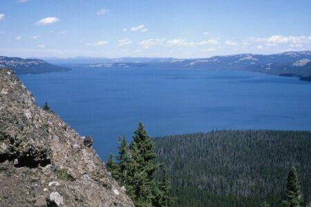 2022/02/pjimage36_10172021_9855-768w.jpg