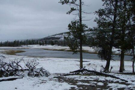 2022/02/pjimage32_10172021_1625-768w.jpg