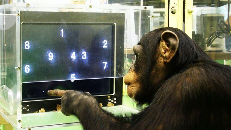 Smart Animals