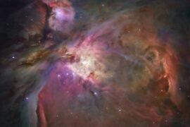 Skywatching in February 2022: Venus, Jupiter, and Orion