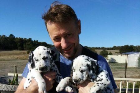 2022/02/20-Facebook-CCDalmatians.jpg
