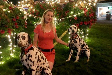 2022/02/8-Facebook-CCDalmatians.jpg