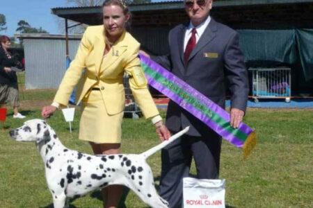 2022/02/4-Facebook-CCDalmatians.jpg