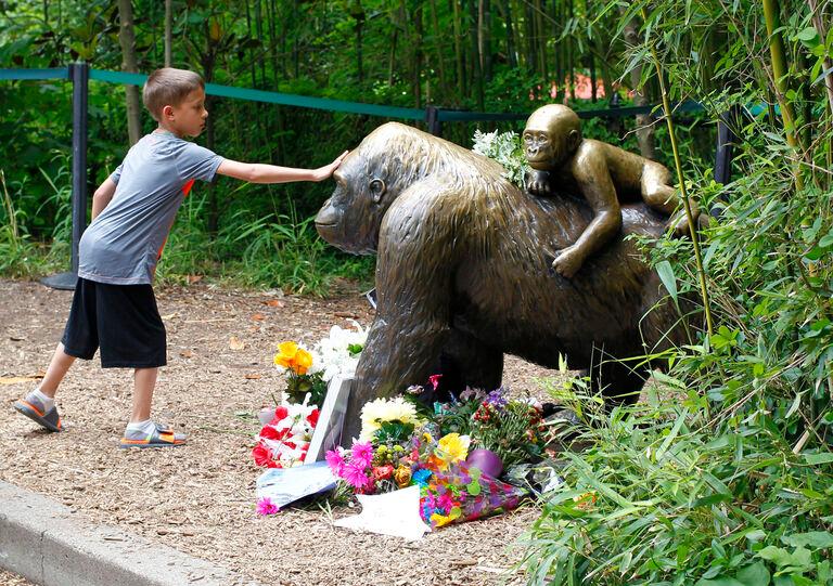 RIP Harambe