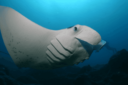 2022/02/20-Sea-Marine-National-Monument.png