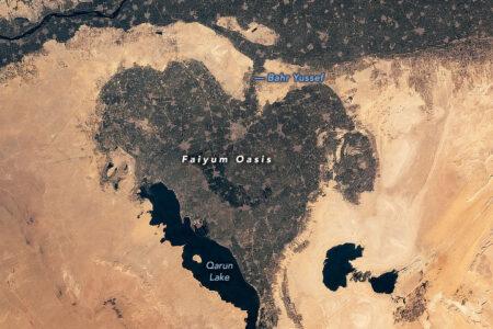 2022/02/iss065e066742.jpg