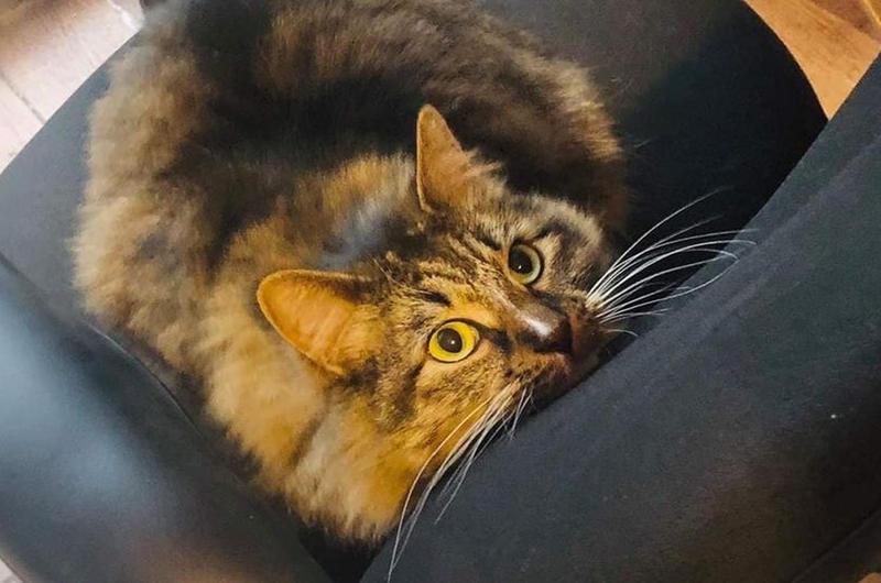 Watching Closely