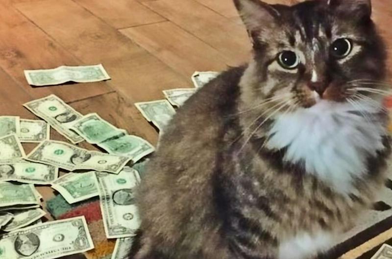 Extra Income