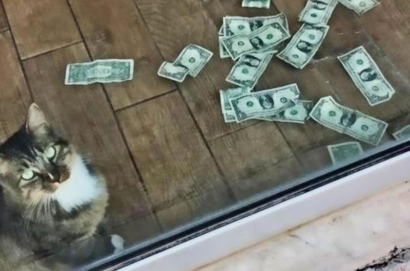 Money On The Floor