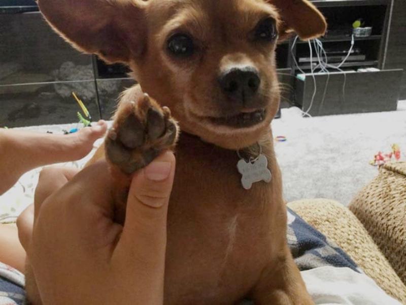 Melting Hearts