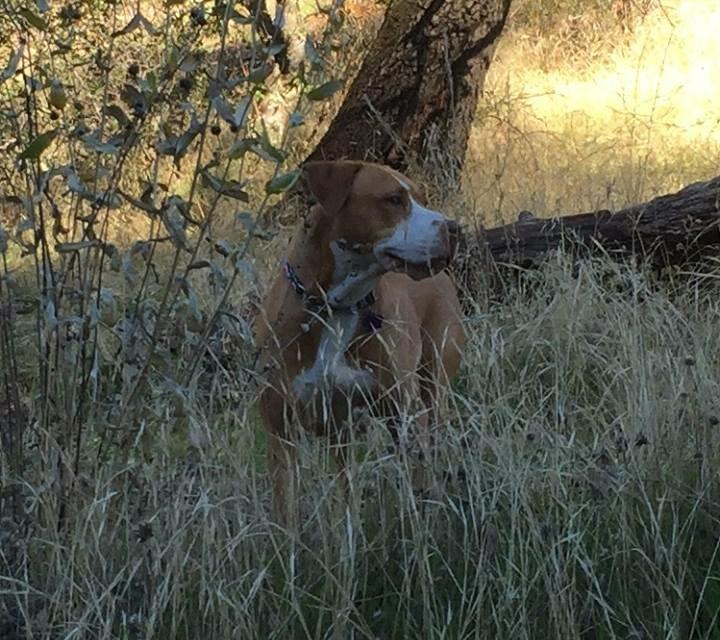 She Found A Home!