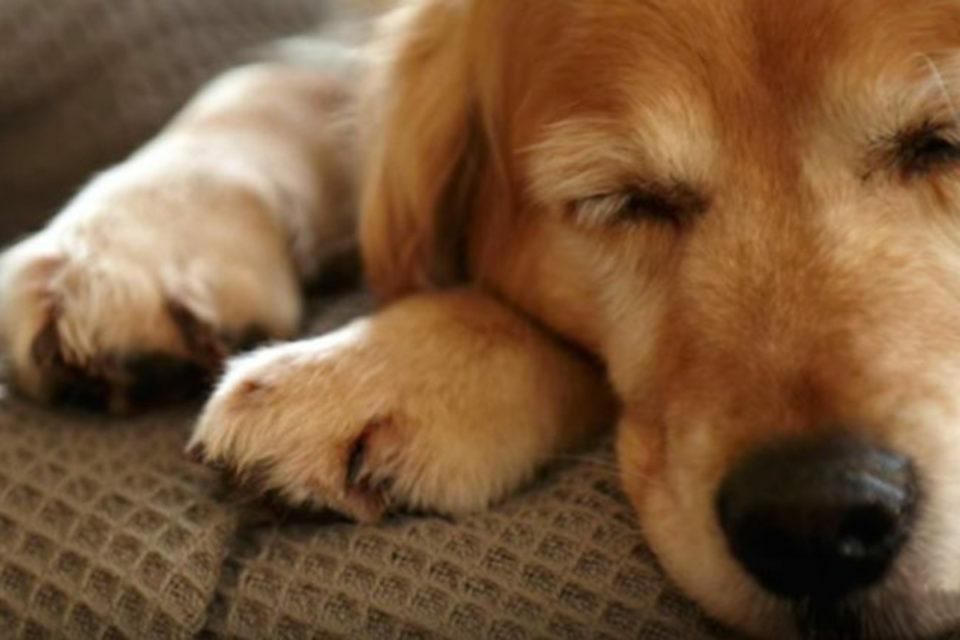Sound Asleep