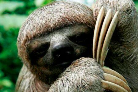 2022/02/22-World-Wildlife-Fund.jpg