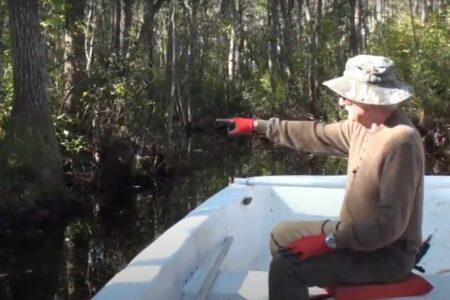 2022/02/9-YouTube-Okefenokee-Swamp-Park.jpg