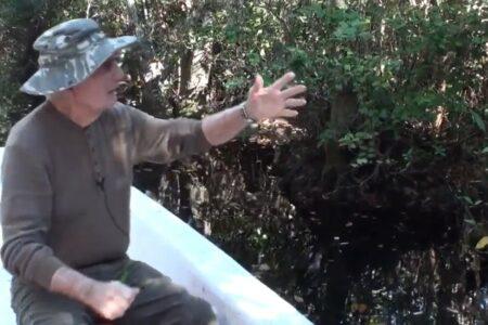 2022/02/8-YouTube-Okefenokee-Swamp-Park.jpg