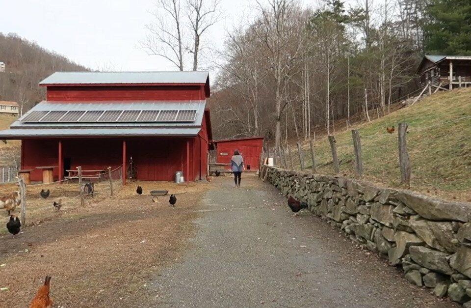 Country Side