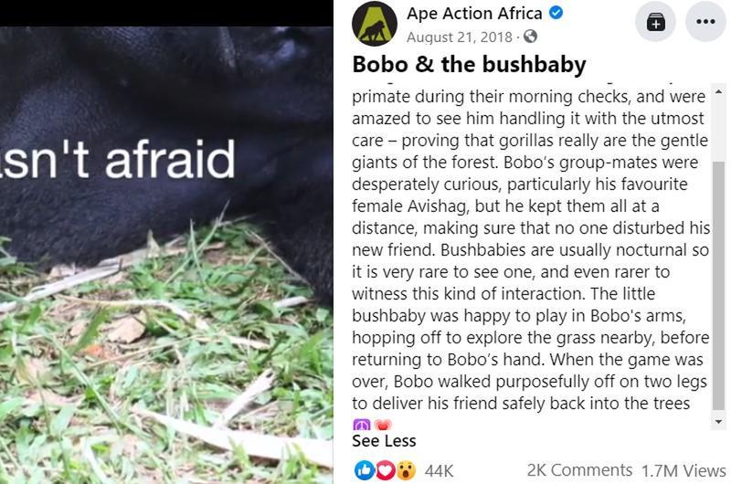 Facebook Post