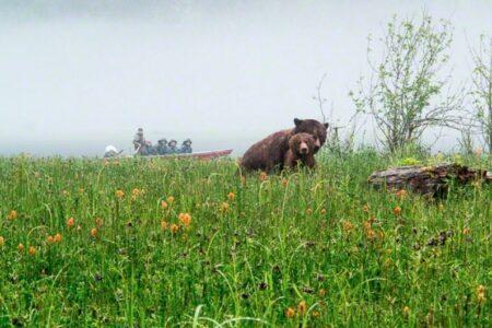 2022/03/16-Great-Bear-Lodge.jpg
