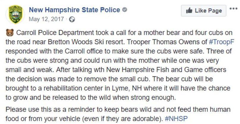 Heroic Trooper