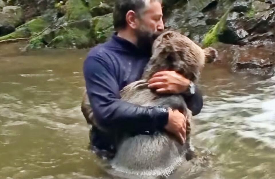 Going Back For The Other Cub