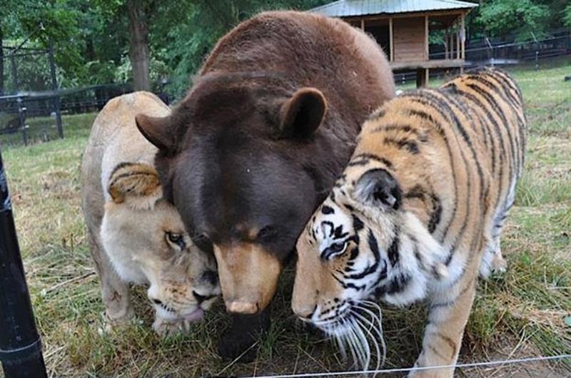 Unusual Relationships